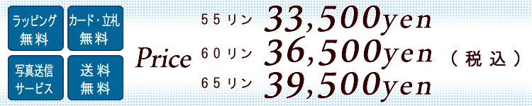 胡蝶蘭 30500円