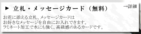 ���D�J�[�h