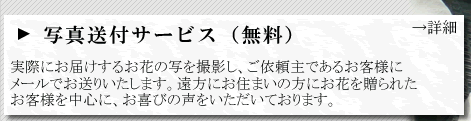 �ʐ^���t�T�[�r�X