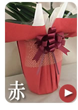 ���b�s���O�g��