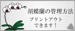 �Ӓ����@�Ǘ����@�@