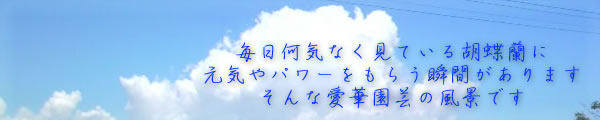 �Ӓ����̈��؉��|