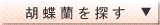 �Ӓ����t�����[�V���b�v