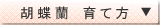 �Ӓ�����ĕ��ɂ���