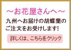 �Ӓ����@����