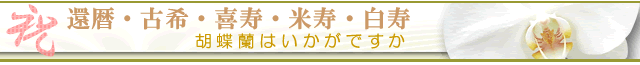胡蝶蘭 長寿祝いのラッピング